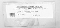 Image Associated With the Occurrence